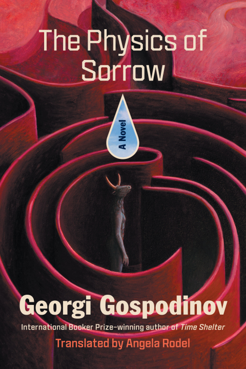 Cover image for book The Physics of Sorrow: A Novel