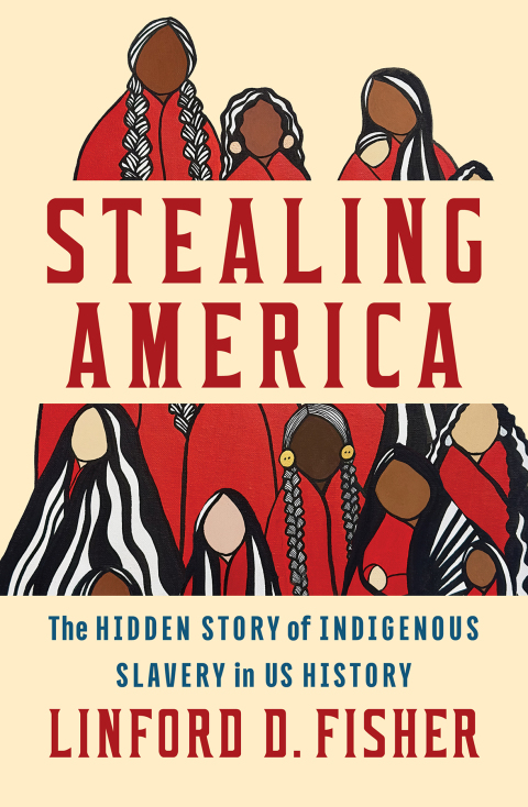 Cover image for book Stealing America