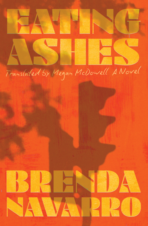 Cover image for book Eating Ashes