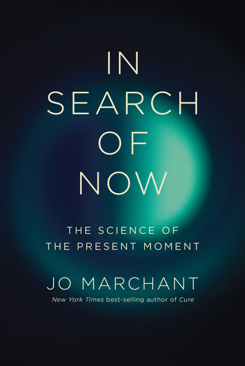 Cover image for book In Search of Now