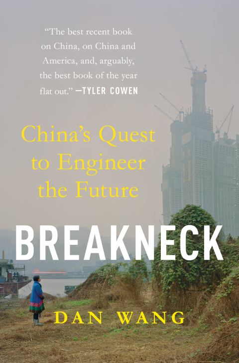 Cover image for book Breakneck