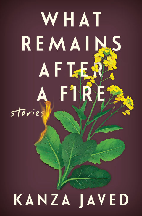 Cover image for book What Remains After a Fire
