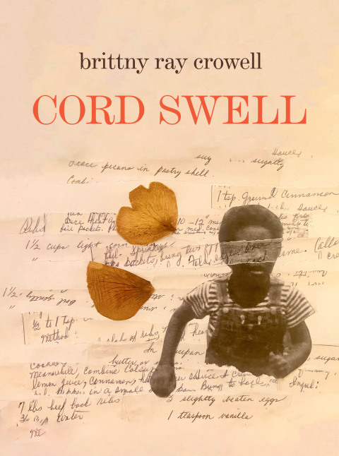 Cover image for book Cord Swell