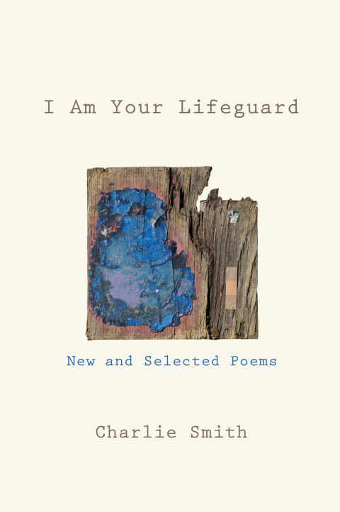 Cover image for book I Am Your Lifeguard