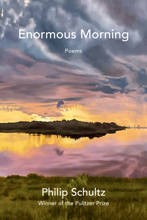 Cover image for book Enormous Morning