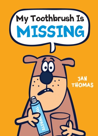 My Toothbrush Is Missing