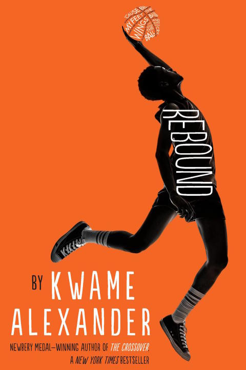 Cover image for book Rebound