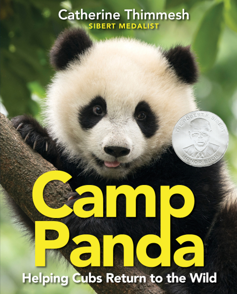 Cover image for book Camp Panda