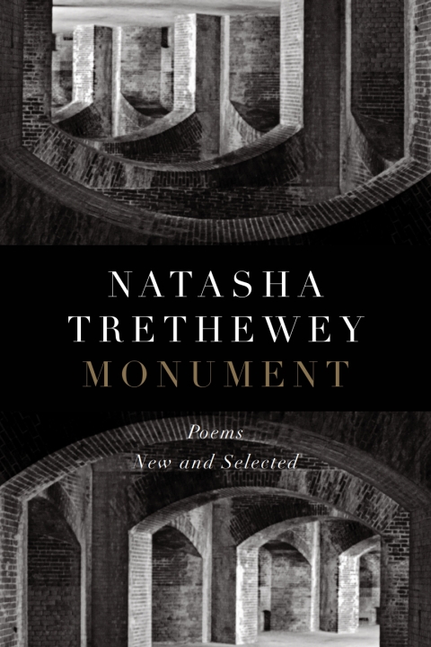 Cover image for book Monument