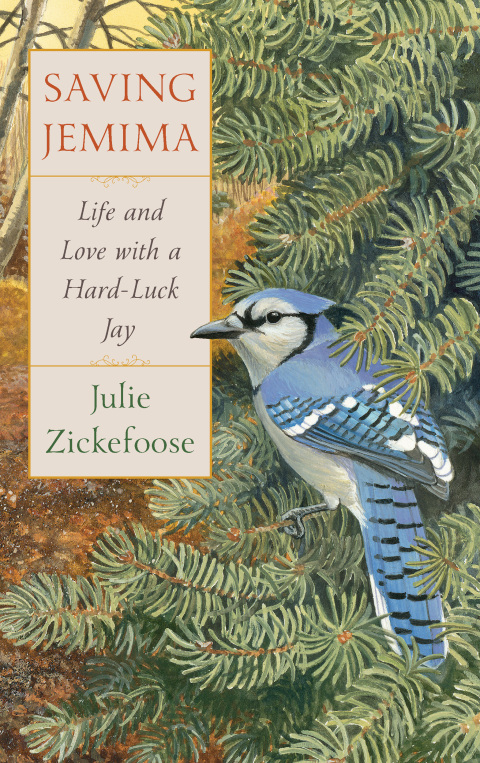 Cover image for book Saving Jemima