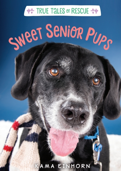 Cover image for book Sweet Senior Pups