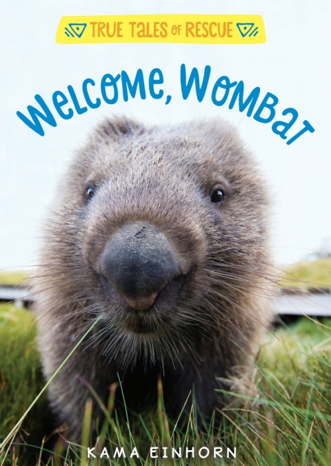 Cover image for book Welcome, Wombat