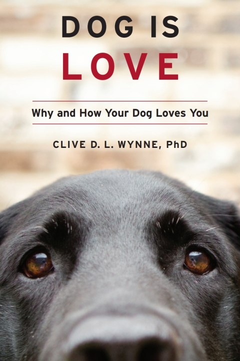 Cover image for book Dog Is Love