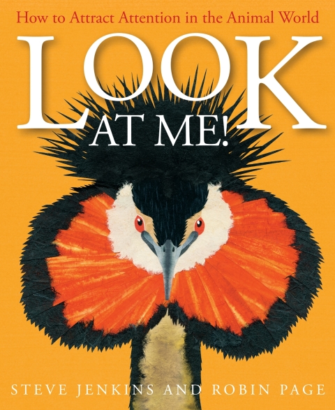 Cover image for book Look at Me!