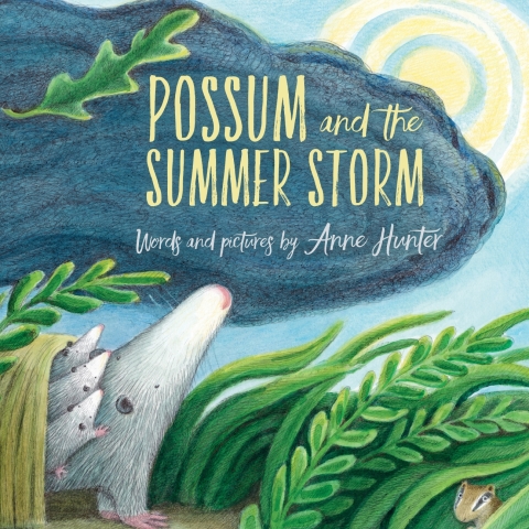 Cover image for book Possum and the Summer Storm