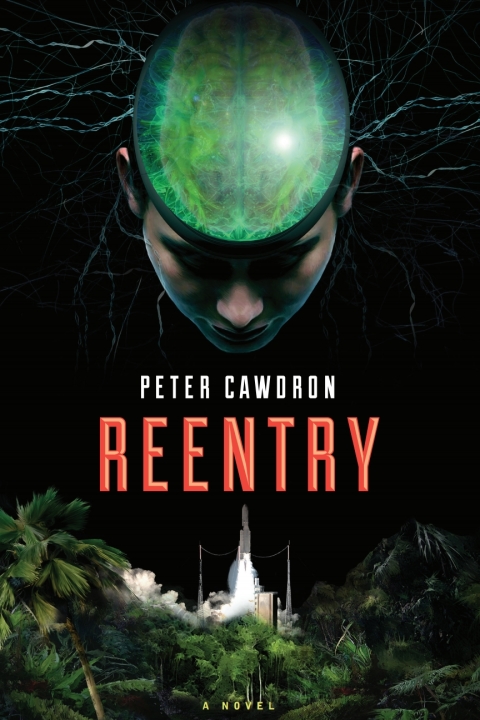 Cover image for book Reentry