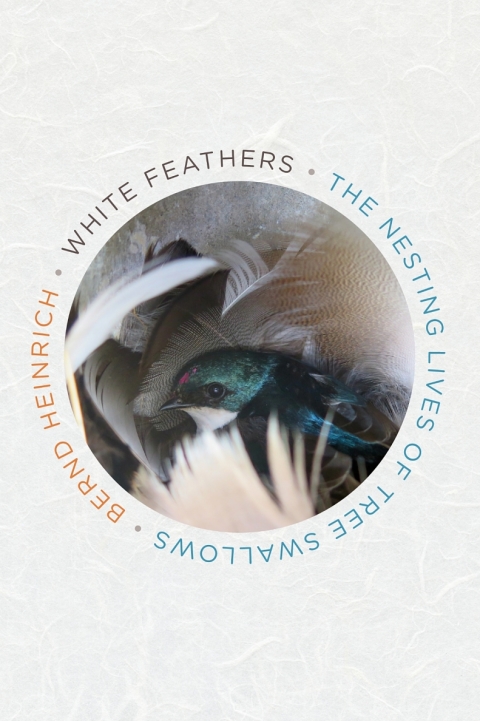 Cover image for book White Feathers