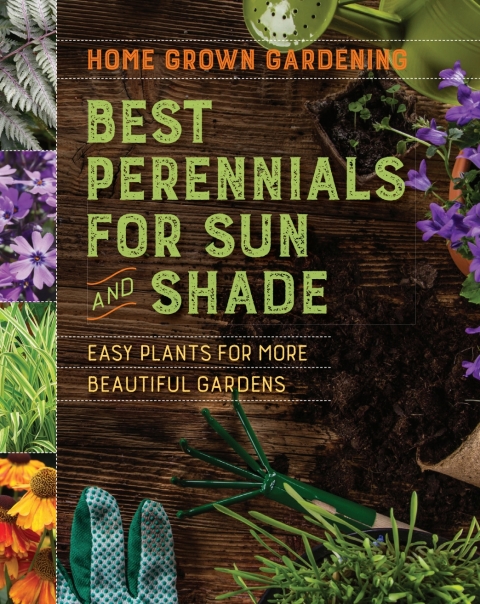 Cover image for book Best Perennials For Sun And Shade