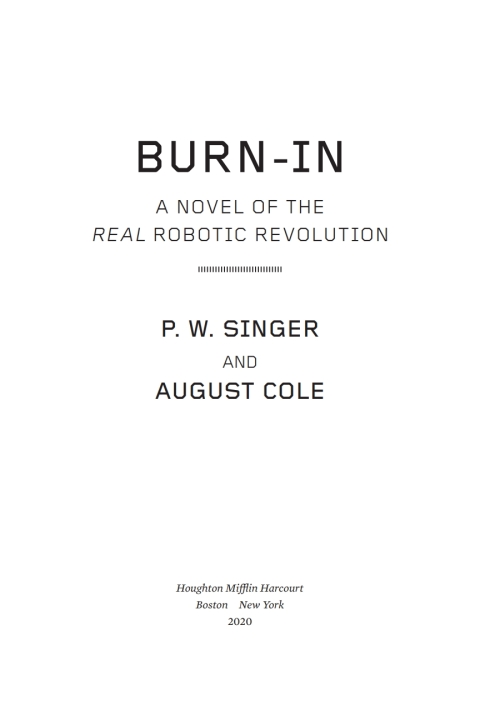 Cover image for book Burn-In