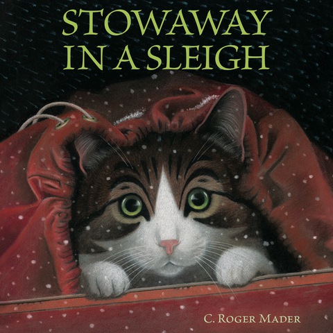 Cover image for book Stowaway in a Sleigh