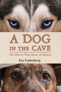 Cover image: A Dog in the Cave 9780544286566