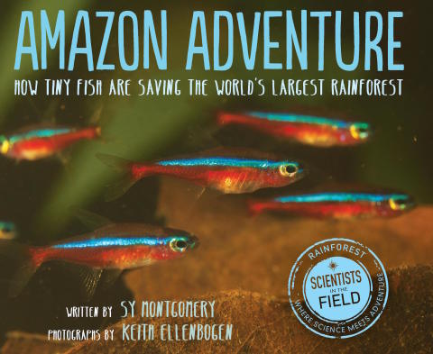 Cover image for book Amazon Adventure