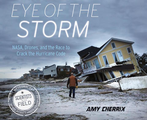 Cover image for book Eye of the Storm