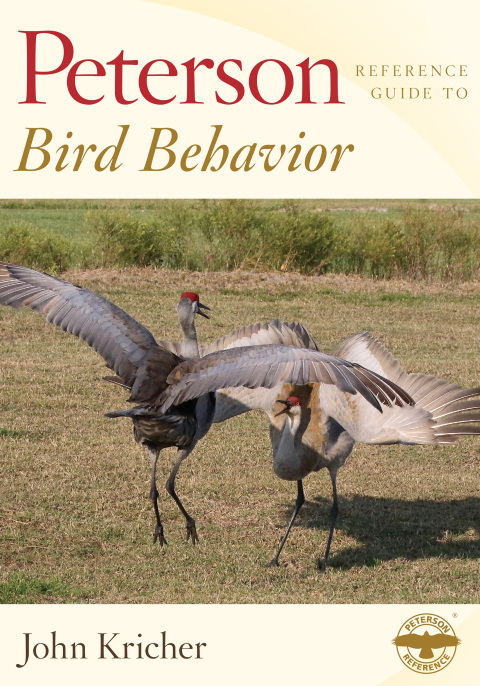Cover image for book Peterson Reference Guide To Bird Behavior