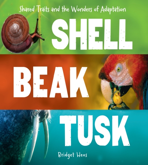Cover image for book Shell, Beak, Tusk