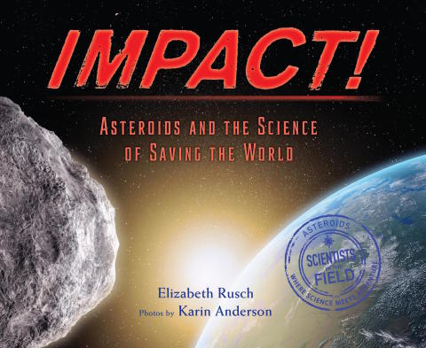 Cover image for book Impact!