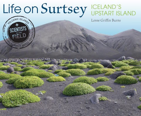 Cover image for book Life on Surtsey