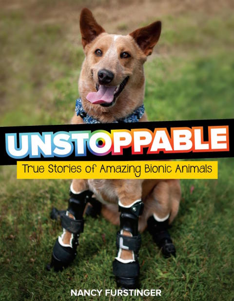 Cover image for book Unstoppable