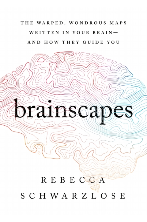 Cover image for book Brainscapes