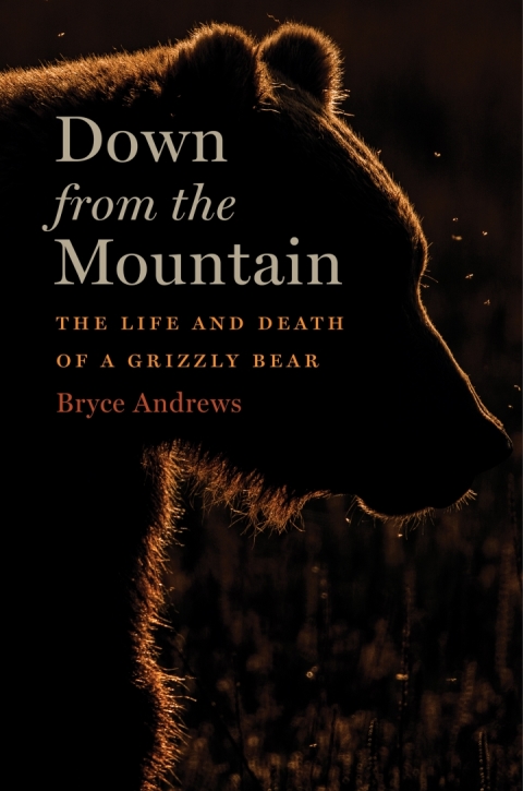 Cover image for book Down From The Mountain