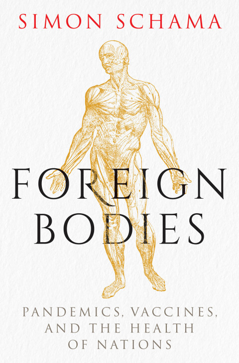 Cover image for book Foreign Bodies