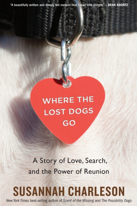 Cover image for book Where the Lost Dogs Go