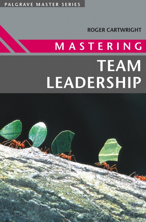 Cover image for book Mastering Team Leadership