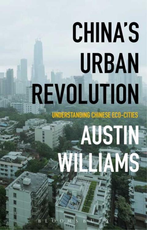Cover image for book China’s Urban Revolution