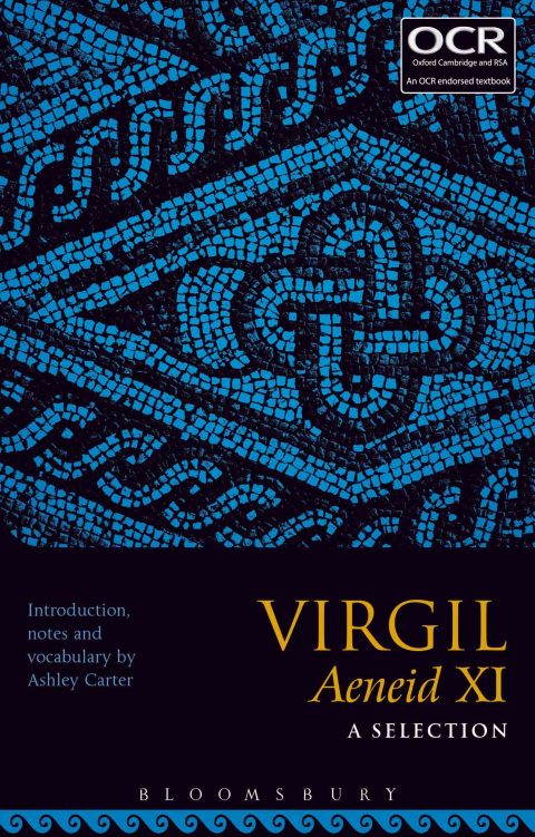 Cover image for book Virgil Aeneid XI: A Selection