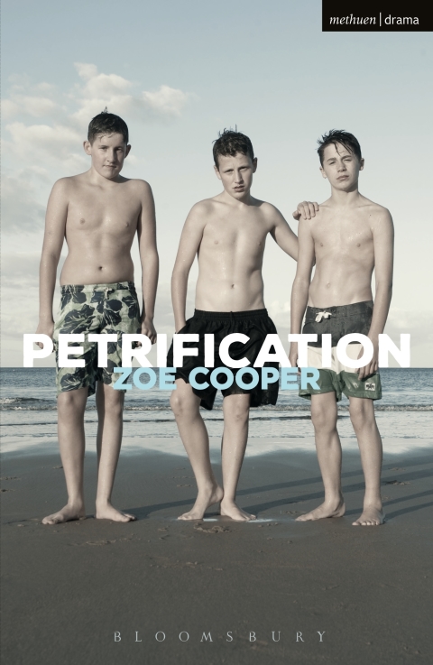 Cover image for book Petrification