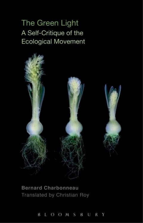 Cover image for book The Green Light