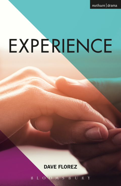 Cover image for book Experience