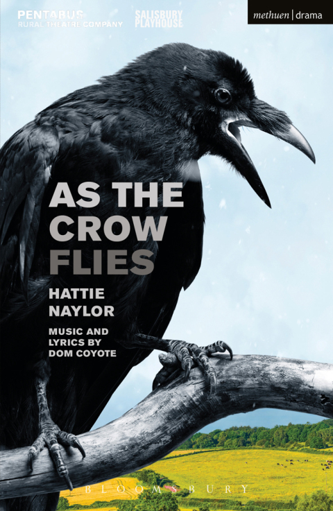 Cover image for book As the Crow Flies