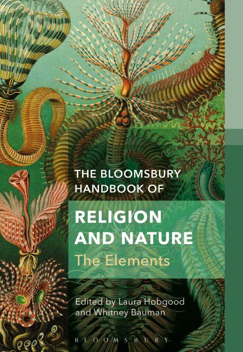 Cover image for book The Bloomsbury Handbook of Religion and Nature