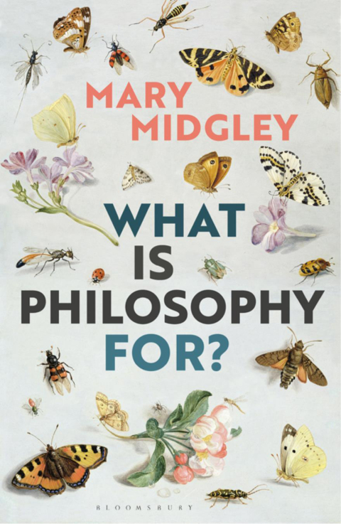 Cover image for book What Is Philosophy for?