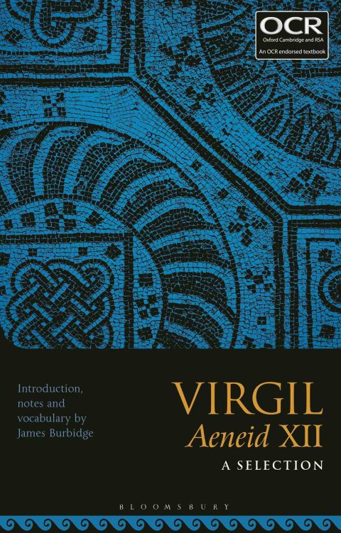 Cover image for book Virgil Aeneid XII: A Selection