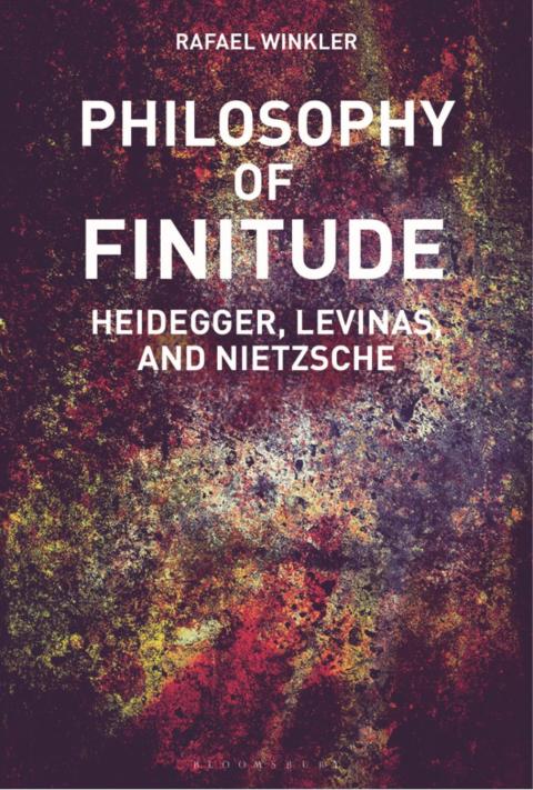 Cover image for book Philosophy of Finitude