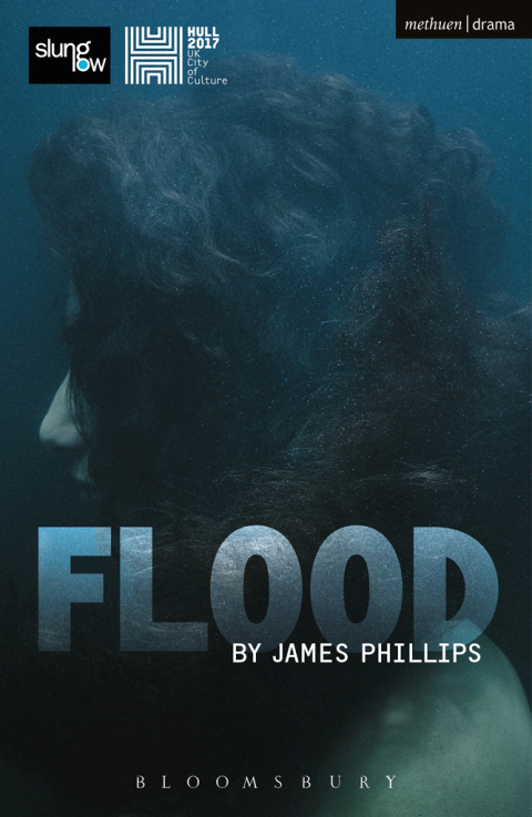 Cover image for book Flood