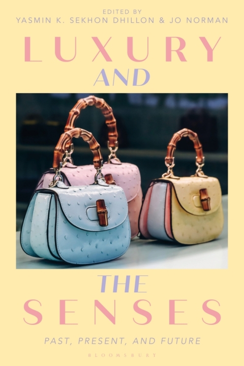 Cover image for book Luxury and the Senses