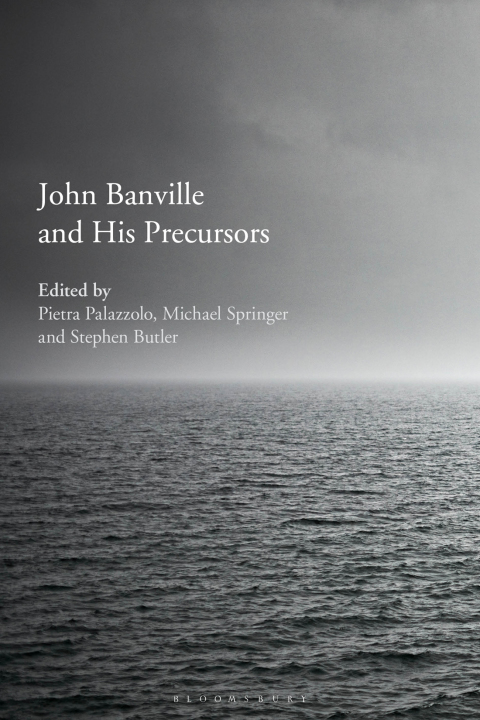 John Banville and His Precursors 